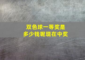 双色球一等奖是多少钱呢现在中奖