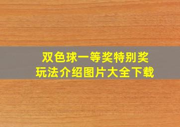 双色球一等奖特别奖玩法介绍图片大全下载