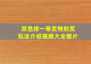 双色球一等奖特别奖玩法介绍视频大全图片