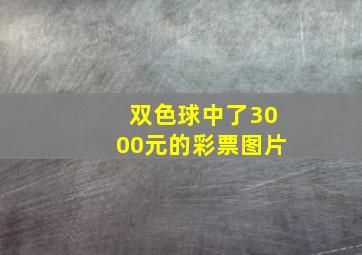 双色球中了3000元的彩票图片