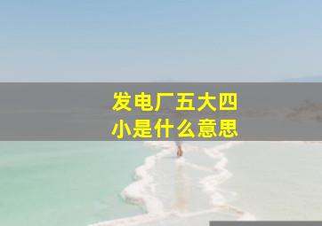 发电厂五大四小是什么意思