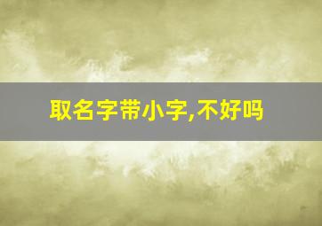 取名字带小字,不好吗