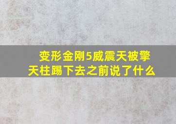 变形金刚5威震天被擎天柱踢下去之前说了什么