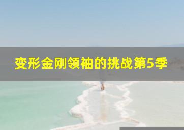 变形金刚领袖的挑战第5季