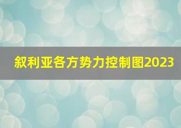 叙利亚各方势力控制图2023