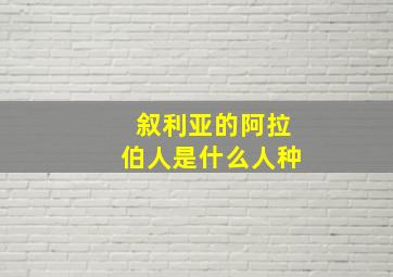 叙利亚的阿拉伯人是什么人种