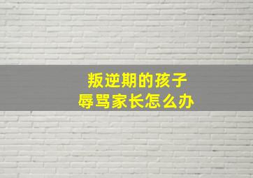 叛逆期的孩子辱骂家长怎么办