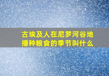 古埃及人在尼罗河谷地播种粮食的季节叫什么