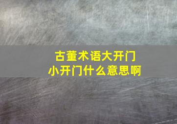 古董术语大开门小开门什么意思啊