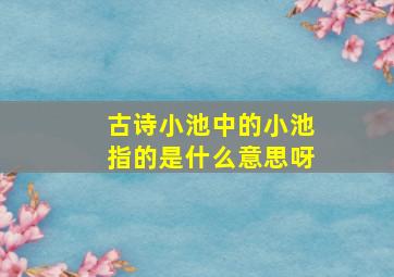 古诗小池中的小池指的是什么意思呀