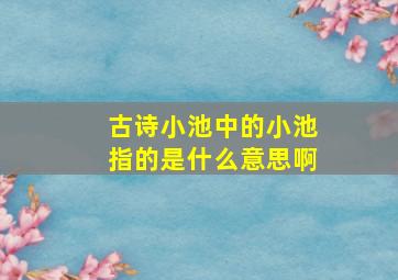 古诗小池中的小池指的是什么意思啊