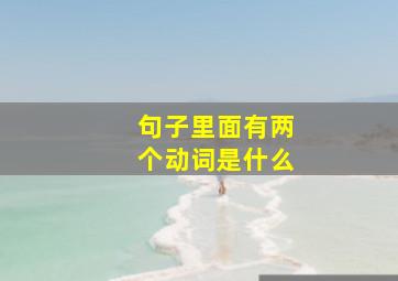 句子里面有两个动词是什么