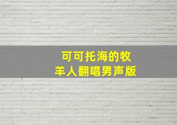 可可托海的牧羊人翻唱男声版