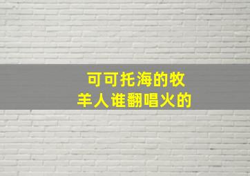 可可托海的牧羊人谁翻唱火的