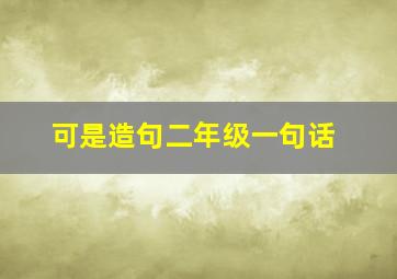 可是造句二年级一句话