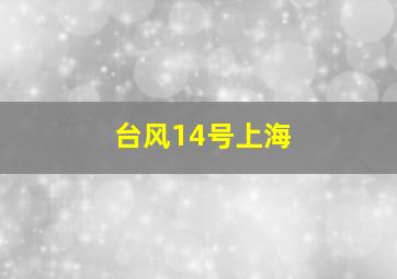 台风14号上海