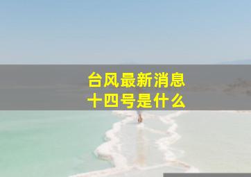 台风最新消息十四号是什么