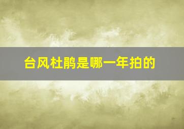 台风杜鹃是哪一年拍的