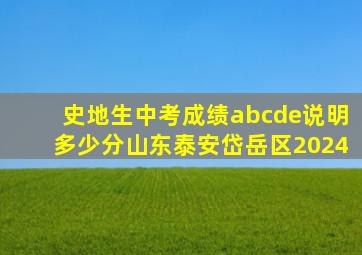 史地生中考成绩abcde说明多少分山东泰安岱岳区2024