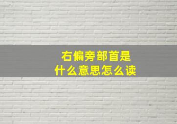 右偏旁部首是什么意思怎么读