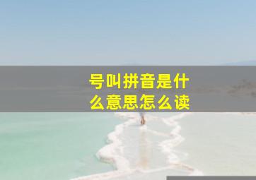 号叫拼音是什么意思怎么读