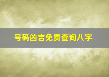 号码凶吉免费查询八字