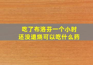 吃了布洛芬一个小时还没退烧可以吃什么药