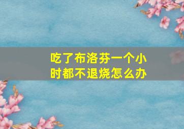 吃了布洛芬一个小时都不退烧怎么办