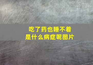 吃了药也睡不着是什么病症呢图片