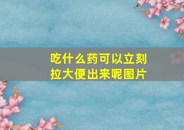 吃什么药可以立刻拉大便出来呢图片