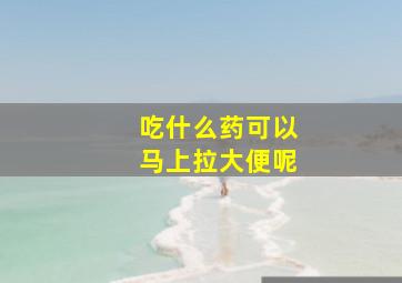 吃什么药可以马上拉大便呢