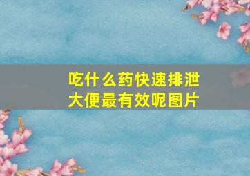 吃什么药快速排泄大便最有效呢图片