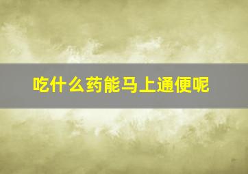 吃什么药能马上通便呢