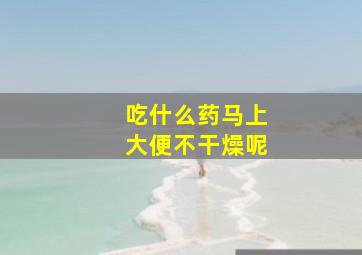 吃什么药马上大便不干燥呢