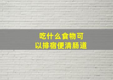 吃什么食物可以排宿便清肠道