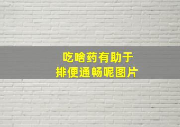 吃啥药有助于排便通畅呢图片