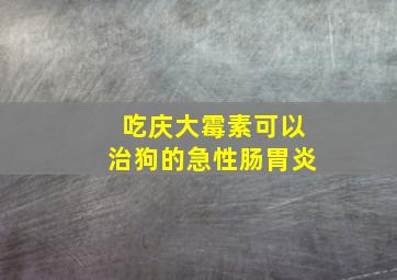 吃庆大霉素可以治狗的急性肠胃炎