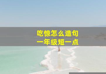 吃惊怎么造句一年级短一点