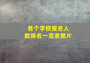 各个学校报名人数排名一览表图片