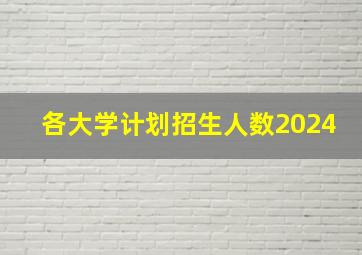 各大学计划招生人数2024