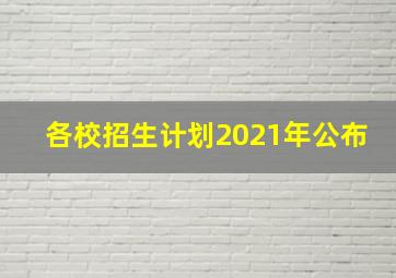 各校招生计划2021年公布