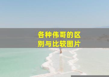 各种伟哥的区别与比较图片