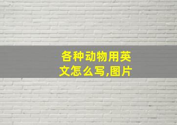 各种动物用英文怎么写,图片