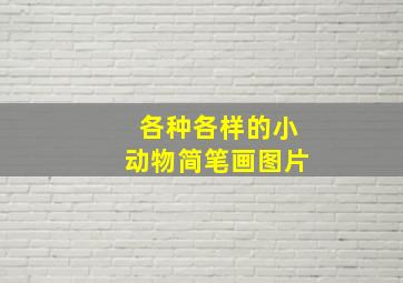 各种各样的小动物简笔画图片