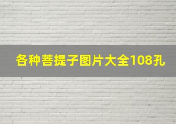 各种菩提子图片大全108孔