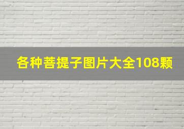 各种菩提子图片大全108颗