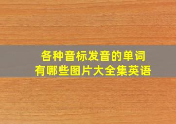 各种音标发音的单词有哪些图片大全集英语