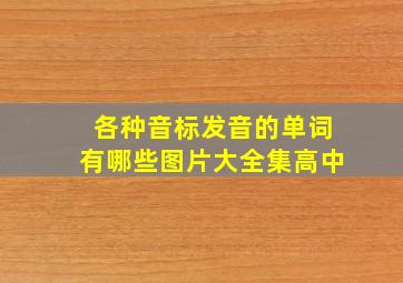 各种音标发音的单词有哪些图片大全集高中