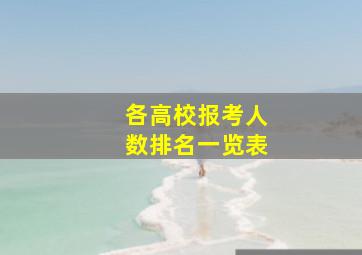 各高校报考人数排名一览表