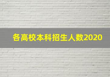 各高校本科招生人数2020